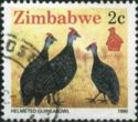 Helmeted Guineafowl (Numidia meleagris)