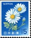 Ox-eye Daisy (Leucanthemum vulgare)