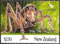 Giant Weta (Deinacrida sp.) 