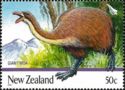 North Island Giant Moa (Dinornis novaezealandiae)