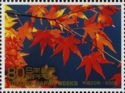 Maple Leaves
