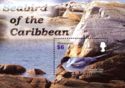 Seabirds of the Caribbean