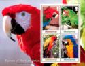 Parrots of the Caribbean