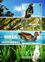 Birds of Montserrat