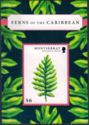 Ferns of the Caribbean