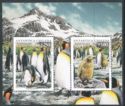 King Penguin (Aptenodytes patagonicus)