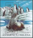 Antarctic Fur Seal (Arctocephalus gazella), Chinstrap Pengui