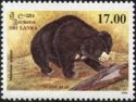 Sloth Bear (Melursus ursinus)