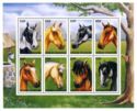 Horse Breeds (Equus ferus caballus)