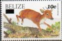 Antelope (Mazama americana) - Surcharged