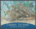 Grand Cayman Blue Iguana (Cyclura lewisi)