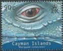 Grand Cayman Blue Iguana (Cyclura lewisi)