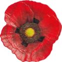5 Dollars (Remembrance Poppy)