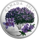 15 Dollars (Celebration of Spring: Lilac Blossoms)