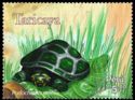 Yellow-spotted Amazon River Turtle (Podocnemis unifilis)