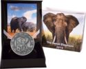 1,500 CFA Francs (African Elephant. Antique finish)