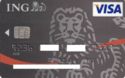 Ing Visa