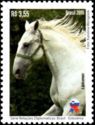 Lipizzaner (Equus ferus caballus)