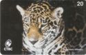 Onça Pintada - N 15