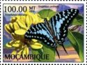 Graphium antheus