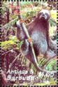 Brown-throated Three-toed Sloth (Bradypus variegatus)