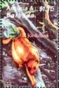 Kinkajou (Potos flavus)