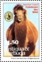 Bactrian camel (Camelus bactrianus)