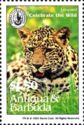 Leopard (Panthera pardus)