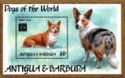 Dogs of the World (1)
