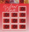 Red Rose 2006