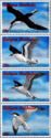 Seabirds 1996 (strip of 4)