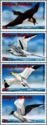 Seabirds 1996 (strip of 4)