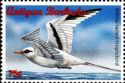 White-tailed tropicbird (Phaethon lepturus)