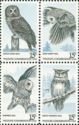 American Owls