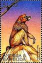 Yellow Baboon (Papio cynocephalus)