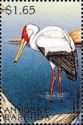 Yellow-billed Stork (Mycteria ibis)