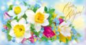 Happy March 8! Forget-me-nots and daffodils
