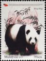 Giant Panda (Ailuropoda melanoleuca)