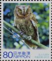 Eurasian Scops Owl (Otus Scops)