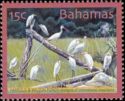 Egrets and Ibises