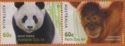 SCM: Australian Zoos - Giant Panda/Sumatran Orangutan
