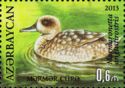 Marbled Teal (Marmaronetta angustirostris)