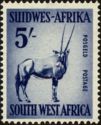 Gemsbok (Oryx gazella)