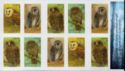 Owls