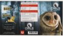 Owls