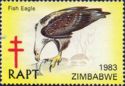 Uncommon and Endangered Birds of Zimbabwe; - Fish Eagle