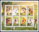 Horse Breeds (Equus ferus caballus)