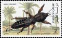 Mole Cricket (Gryllotalpa gryllotalpa)