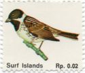 Surf Islands - Birds - Reed Bunting