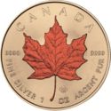 5 Dollars (Four Seasons: Maple Leaf, Autumn)